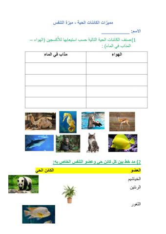 مميزات الكائنات الحية - ميزة التنفس