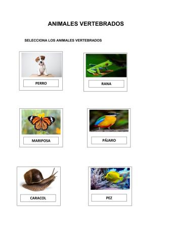 Animales vertebrados
