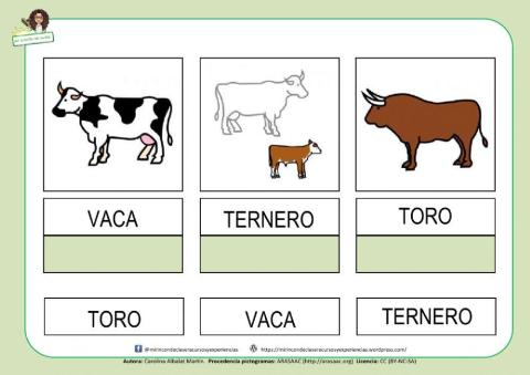 VACA, TORO y TERNERO