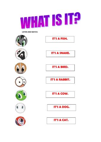 WHAT IS IT? IT'S A CAT.