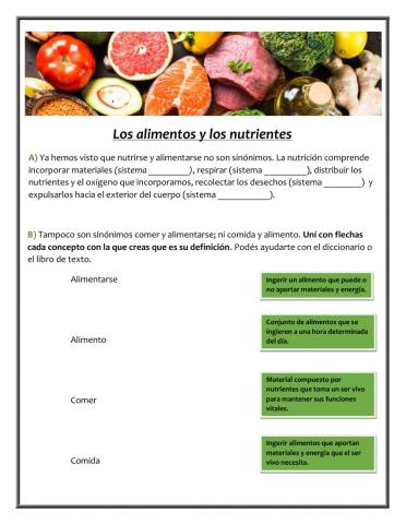 Los alimentos y los nutrientes