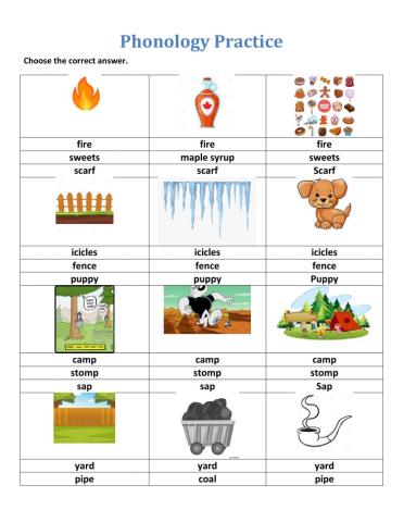 Phonology Exam Practice (2)