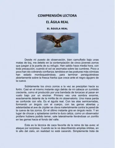 Comprensión de textos