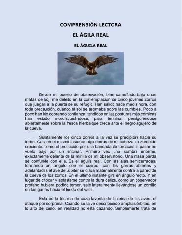 Comprensión de textos