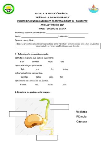 Examen Ciencias Naturales