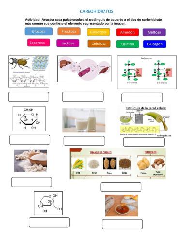 Carbohidratos