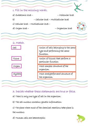 The organisation of the human body (I)