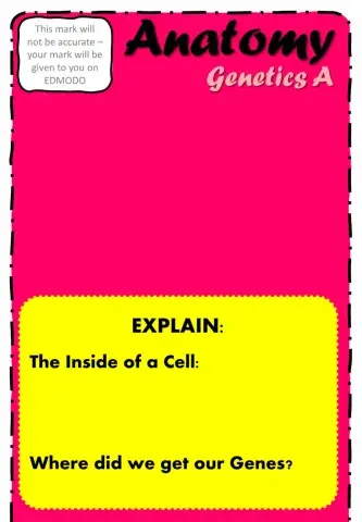 Anatomy - Genetics A