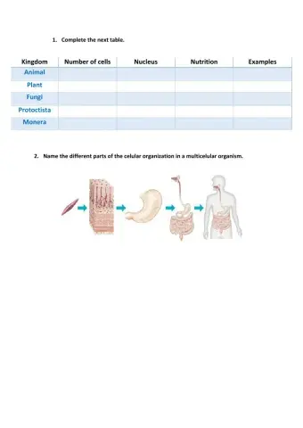 Cell organization and living things kingdoms