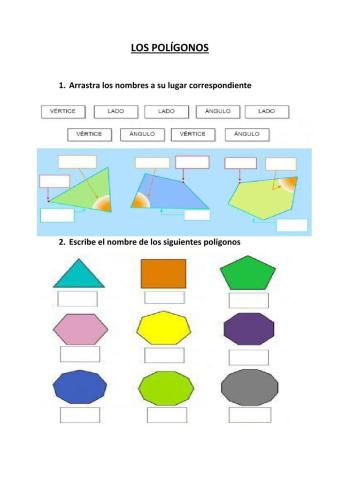 Polígonos
