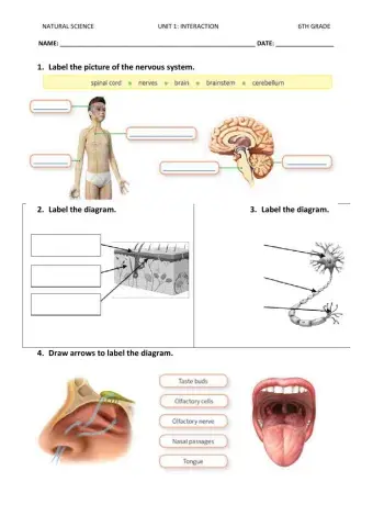 Natural science test 1