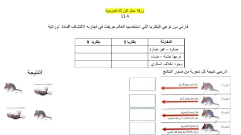 الوراثة الجزيئية