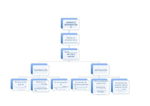 Aparato respiratorio Esquema Completar