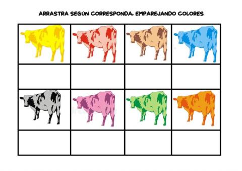 Empareja colores vaca