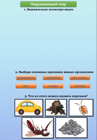 Окружающий мир. Отличие живого от неживого