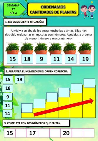 Ordenamos números de plantas