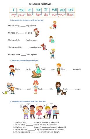 Possessive adjectives his and her