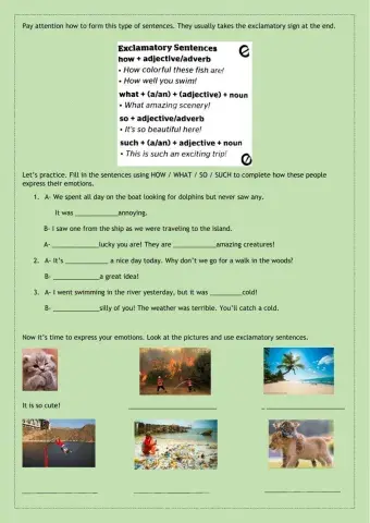 Exclamatory sentences