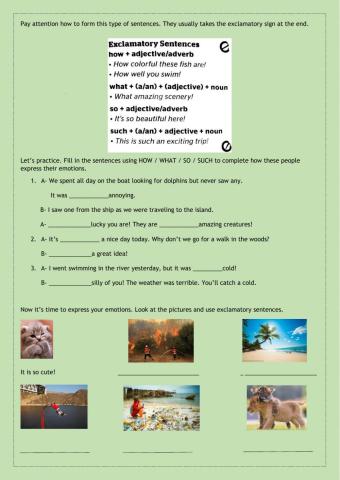 Exclamatory sentences