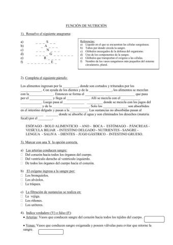 Sistemas intervinientes en la función de nutrición humana
