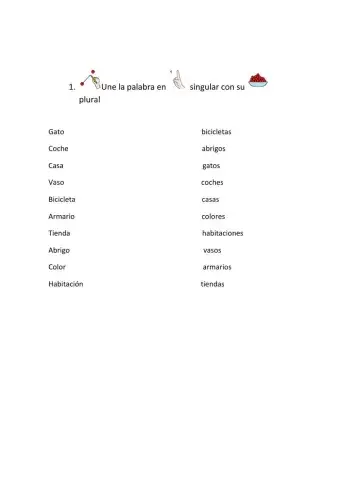 Lectoescritura, comprensión lectora, singular, plural, masculino y femenino