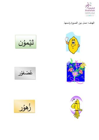 توصيل المد بالواو