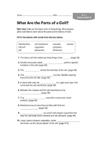 Ch 1 science test shafer