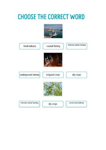 Primary and secondary sector