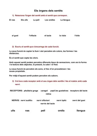 Els òrgans dels sentits