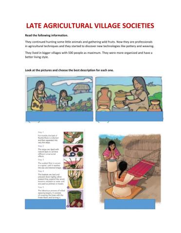 Late Agricultural Village Society