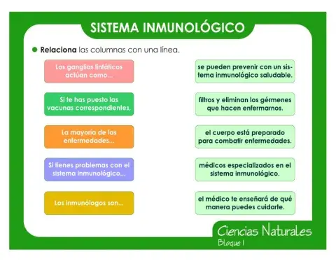 Sistema inmunologico
