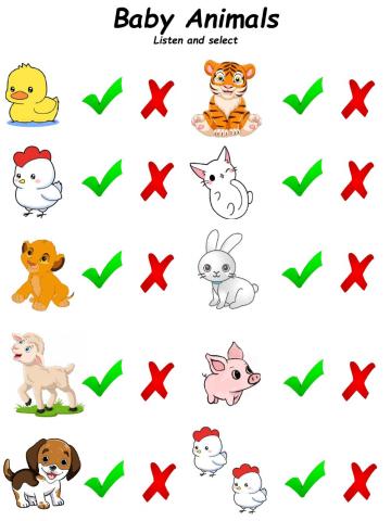 Baby animals