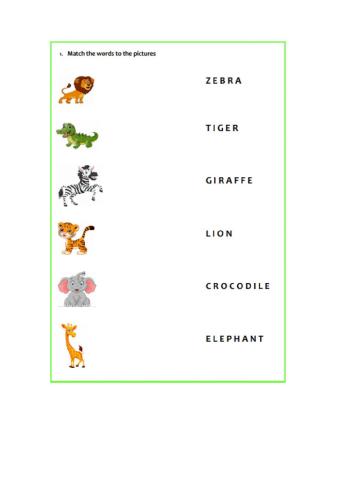 Match the animals to their names