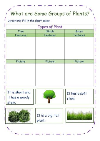 Groups of Plants