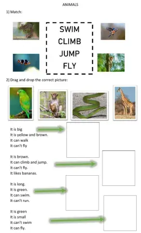 Animals - can - can't