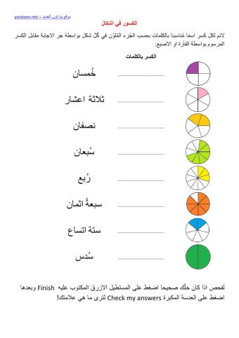 الكسور في اشكال