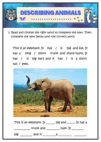 Describing animals