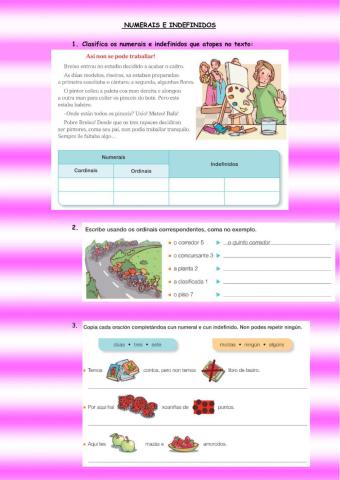 Numerais e indefinidos