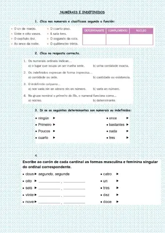 Numerais e indefinidos