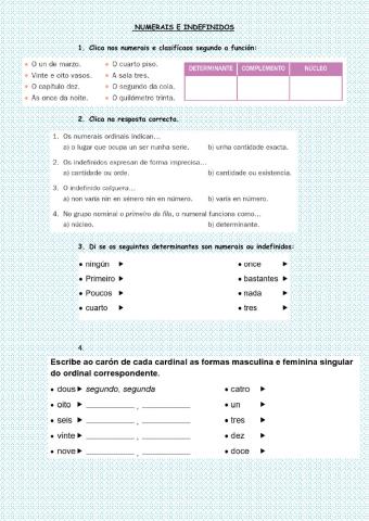 Numerais e indefinidos