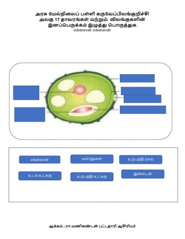 தாவரங்கள் மற்றும் விலங்குகளின் இனப்பெருக்கம்