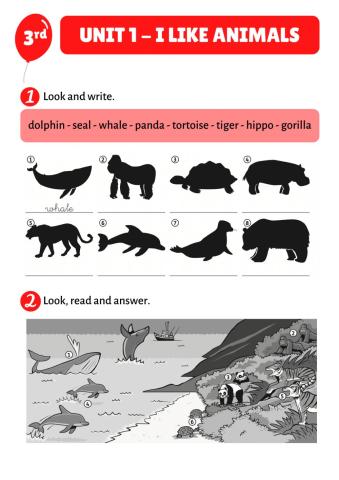 Unit 1. i like animals