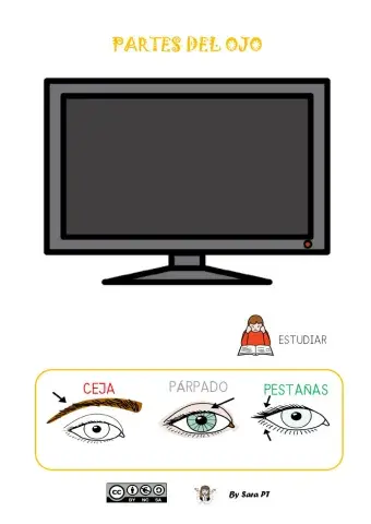 PARTES DEL OJO