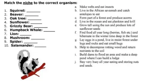Identify the organism's niche