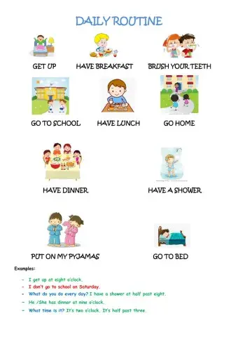 Daily routine