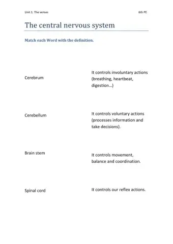 The central nervous system
