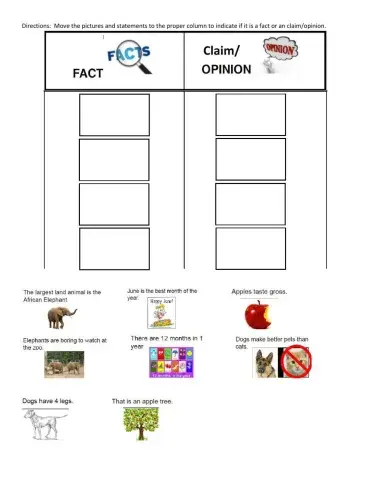 Fact or Opinion Sort