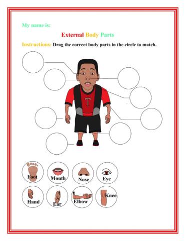 External Body Parts