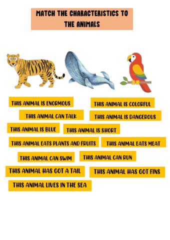 Animals and Characteristics