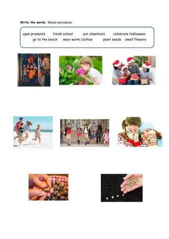 Seasons - activities